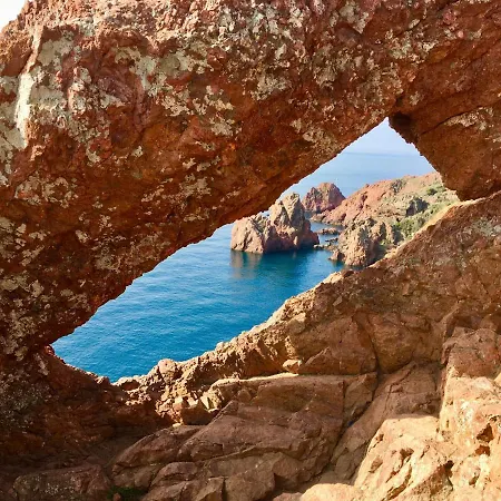 Bed,kitchen And Swimming Pool Esterel